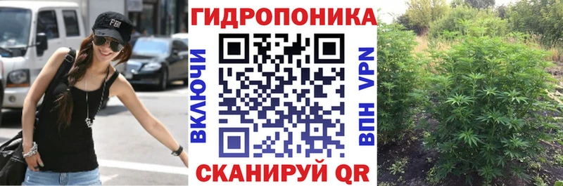 Где купить наркоту Ардатов Cocaine  Меф  Гашиш  Канабис 