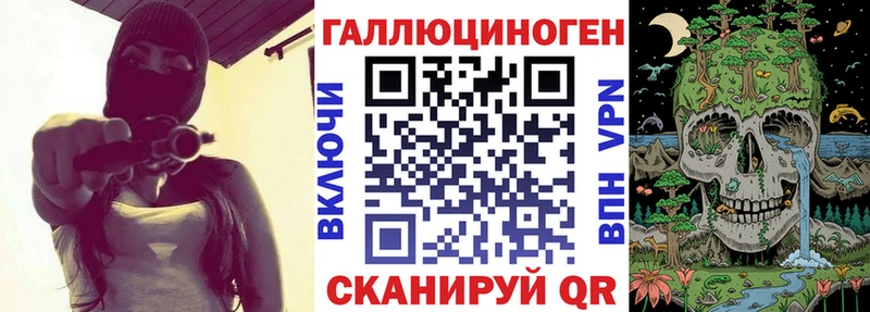 Галлюциногенные грибы Psilocybe Ардатов
