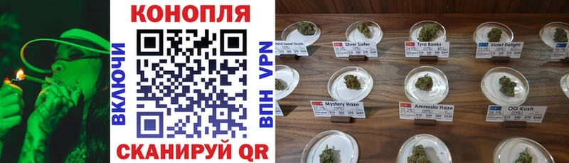 Каннабис AK-47  blacksprut ССЫЛКА  Ардатов  где можно купить наркотик 
